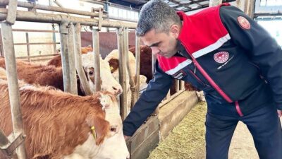 2025 yılında Erzurum genelinde tarım ve hayvancılığın gelişmesi amacıyla 1