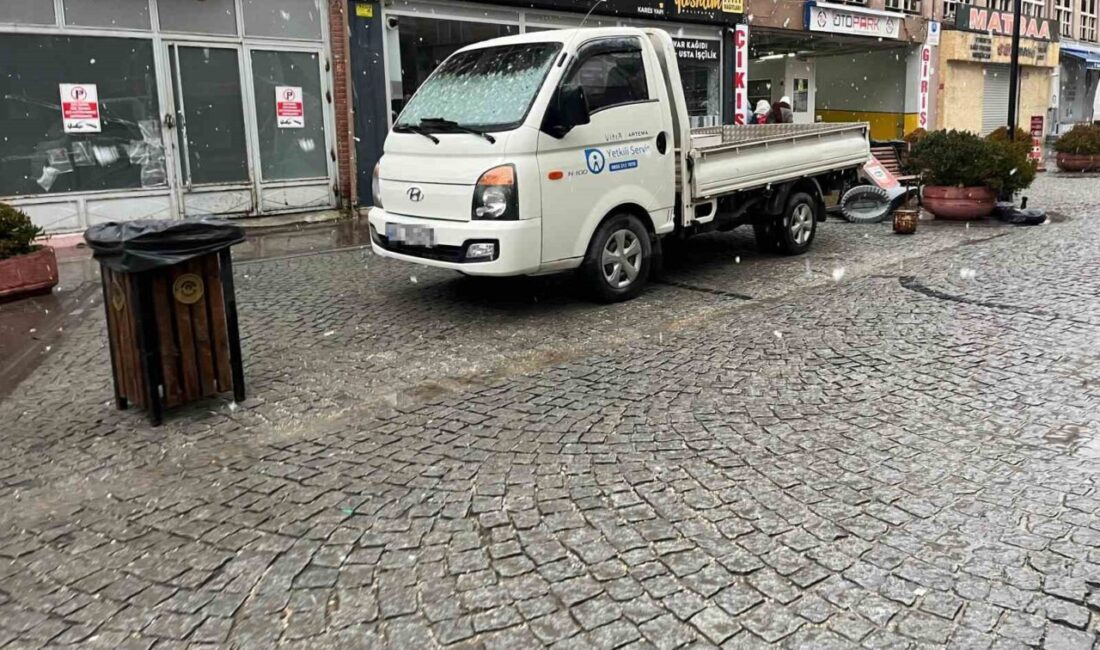 Eskişehir’de bir kamyonet sürücüsü, üç araçlık park alanına tek başına