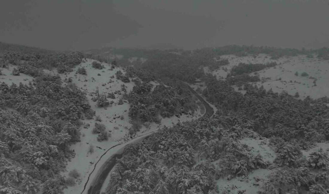 Eskişehir kent merkezine 18 kilometre olan Bozdağ’ın zirvesindeki kar manzarası