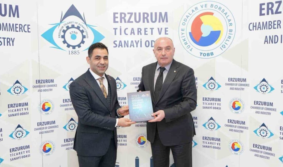 Türkiye Odalar ve Borsalar Birliği (TOBB) Yönetim Kurulu Üyesi ve