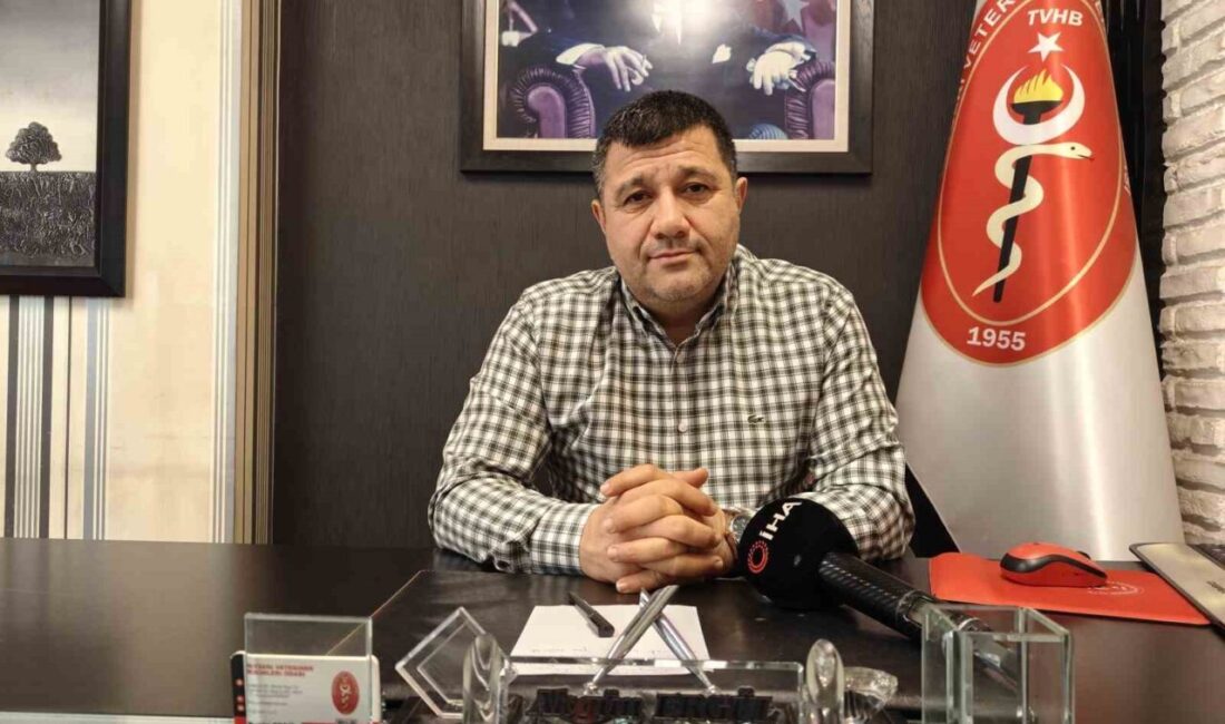 Kayseri Veteriner Hekimler Odası Başkanı Akgün Ergül, evcil hayvanların kışın