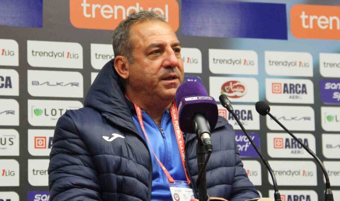 Adana Demirspor’un yardımcı antrenörü Fatih Tevek, Çorum FK maçının ardından,