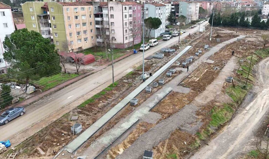 Sakarya’nın Ferizli ilçesinde 10 dönüm arazi üzerinde modernizasyonu planlanan Atatürk