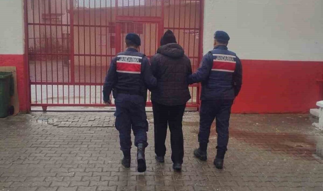 Aydın’ın Efeler ilçesinde hapis cezasıyla aranan FETÖ üyesi şahıs, operasyonla