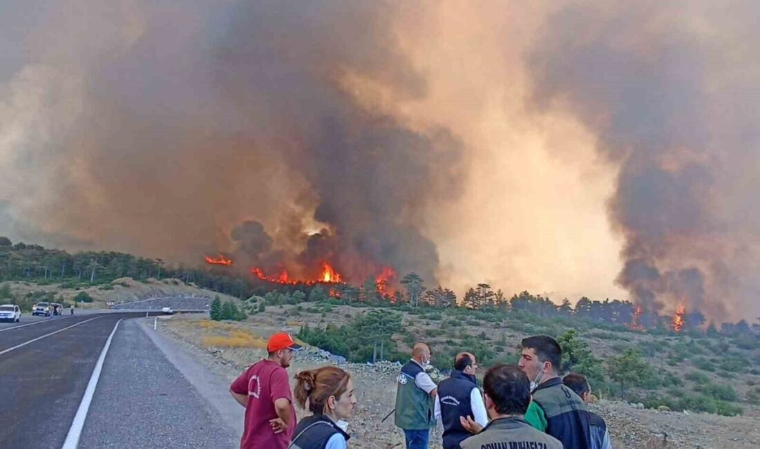 Bursa’nın Harmancık ve Orhaneli ilçelerinde geçtiğimiz yıl temmuz ayında çıkan