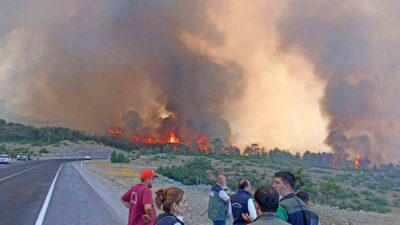 Bursa’nın Harmancık ve Orhaneli ilçelerinde geçtiğimiz yıl temmuz ayında çıkan