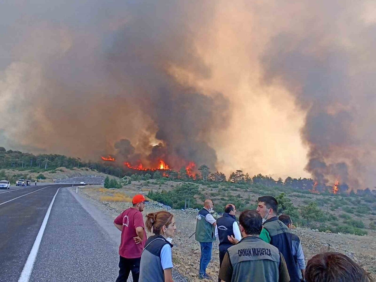 Bursa’nın Harmancık ve Orhaneli ilçelerinde geçtiğimiz yıl temmuz ayında çıkan