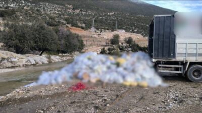 Antalya’nın Finike ilçesinde dere kenarına kamyonla plastik atık dökülmesi olayıyla