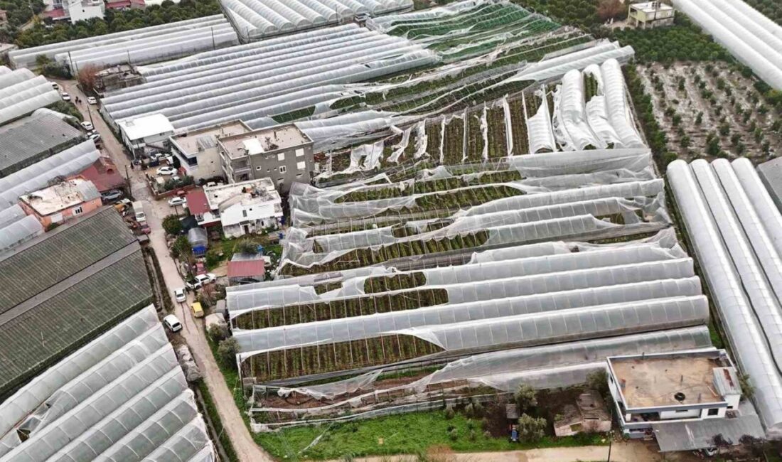 Antalya’nın Finike ilçesinde fırtına ve sağanak yağışın ardından oluşan hortum