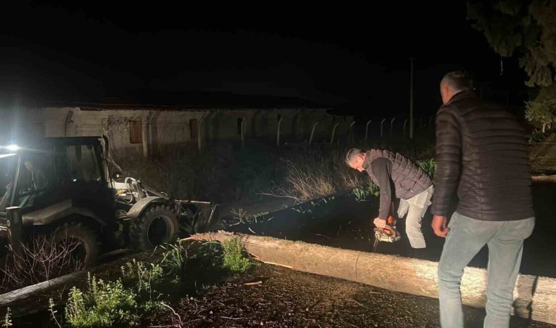 Aydın’ın Germencik ilçesinde etkili olan şiddetli yağış ve fırtına nedeniyle