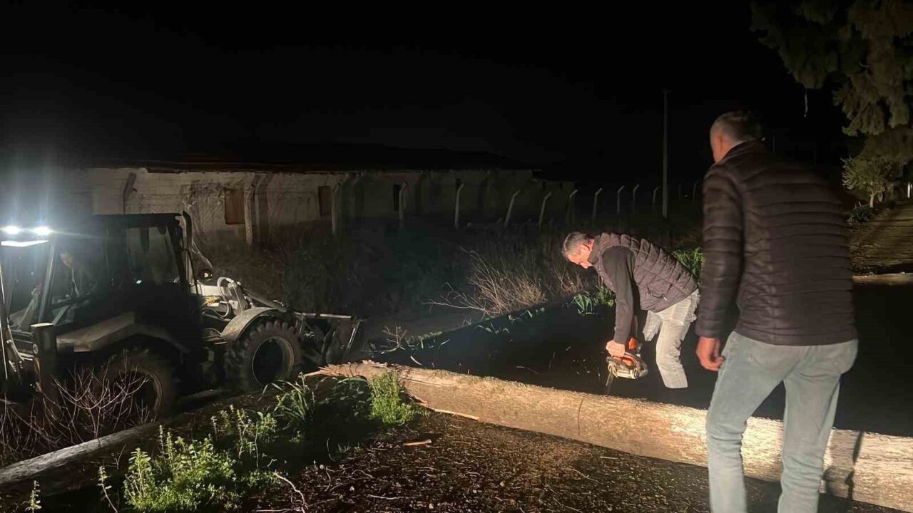 Aydın’ın Germencik ilçesinde etkili olan şiddetli yağış ve fırtına nedeniyle