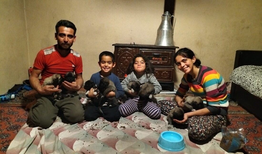 Antalya’nın Aksu ilçesinde etkili olan hortumda devrilen çam ağacının altında