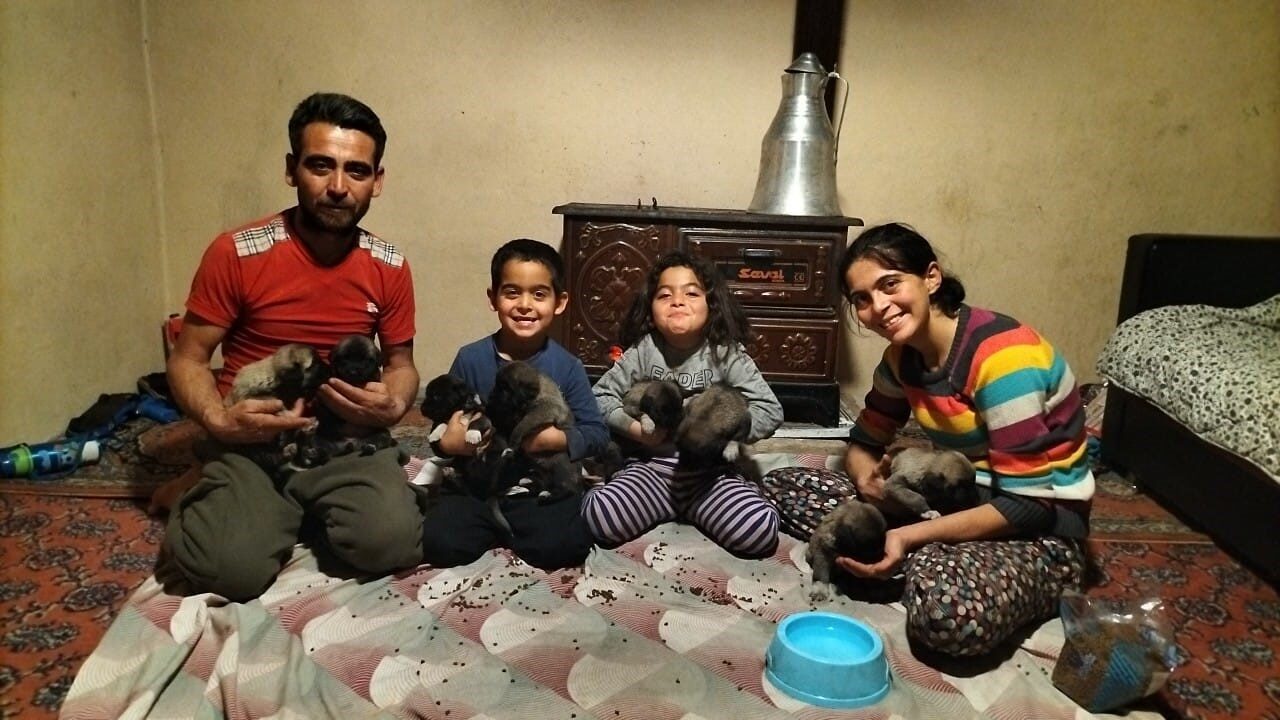 Antalya’nın Aksu ilçesinde etkili olan hortumda devrilen çam ağacının altında