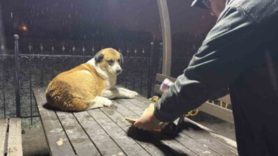 Düzce’de haber nöbeti için yollarda olan gazeteciler, kar yağışı nedeniyle