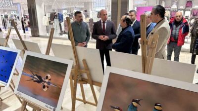 Gaziantep’te, kent sınırlarında çekilen birbirinden özel kuşlara ait fotoğraf sergisi