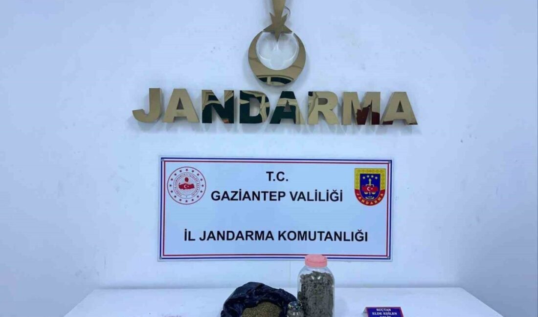 Gaziantep’te jandarma ekiplerinin yaptığı operasyonda 4 kilo skunk ele geçirildi,