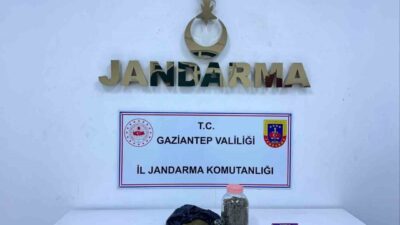 Gaziantep’te jandarma ekiplerinin yaptığı operasyonda 4 kilo skunk ele geçirildi,