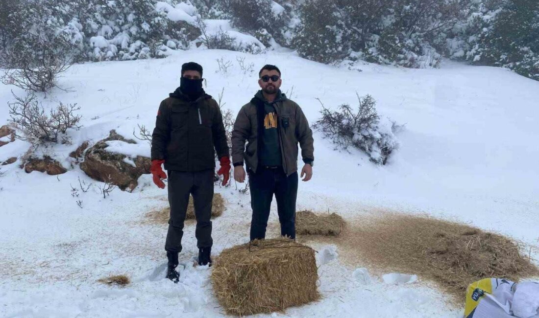 Gaziantep’te yoğun kar yağışının ardından yiyecek bulmakta zorlanan yaban hayvanları