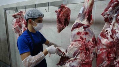 Gaziantep’teki GAHİB Halıcılık ve Dış Ticaret Mesleki ve Teknik Anadolu