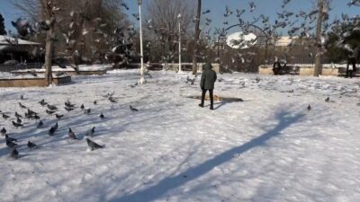 Hafta için iki gün boyunca aralıklı yağan ve etkili olan