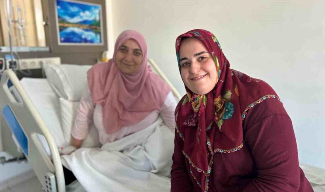 Kahramanmaraş’tan Van’a gelen ve gebelik sürecinde şah damarı (glomus) tümörü