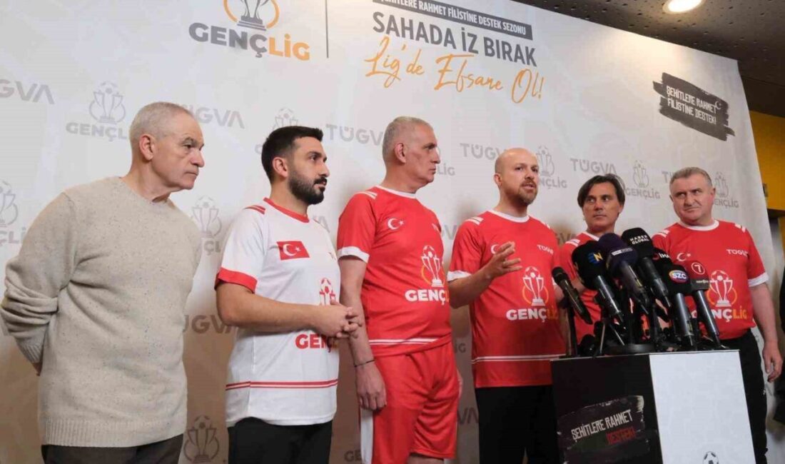 Türkiye Gençlik Vakfı (TÜGVA), Gençlik ve Spor Bakanlığı ve Milli