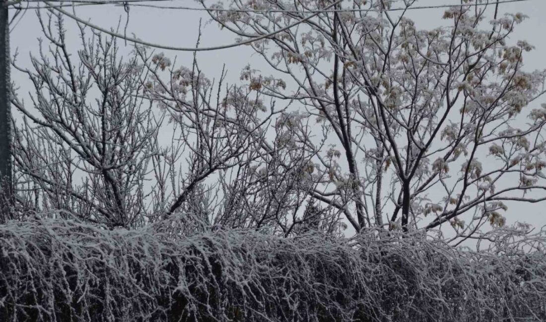 Batman’ın Gercüş ilçesinde sabah saatlerinde etkisini gösteren kar yağışı, ilçeyi
