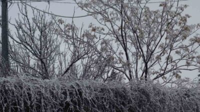 Batman’ın Gercüş ilçesinde sabah saatlerinde etkisini gösteren kar yağışı, ilçeyi