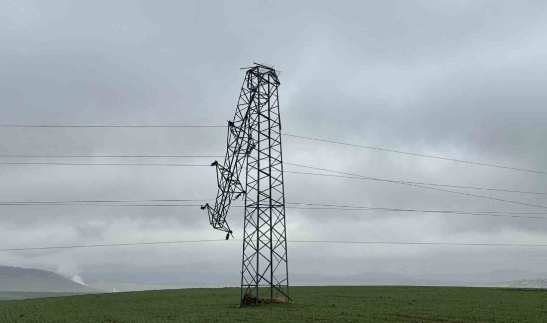 Mardin’in Derik ilçesinde kimliği belirsiz kişiler tarafından çalınan destek üniteleri
