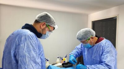 Germencik Belediyesi, 2026 yılının başından bu yana yürüttüğü kısırlaştırma çalışmaları