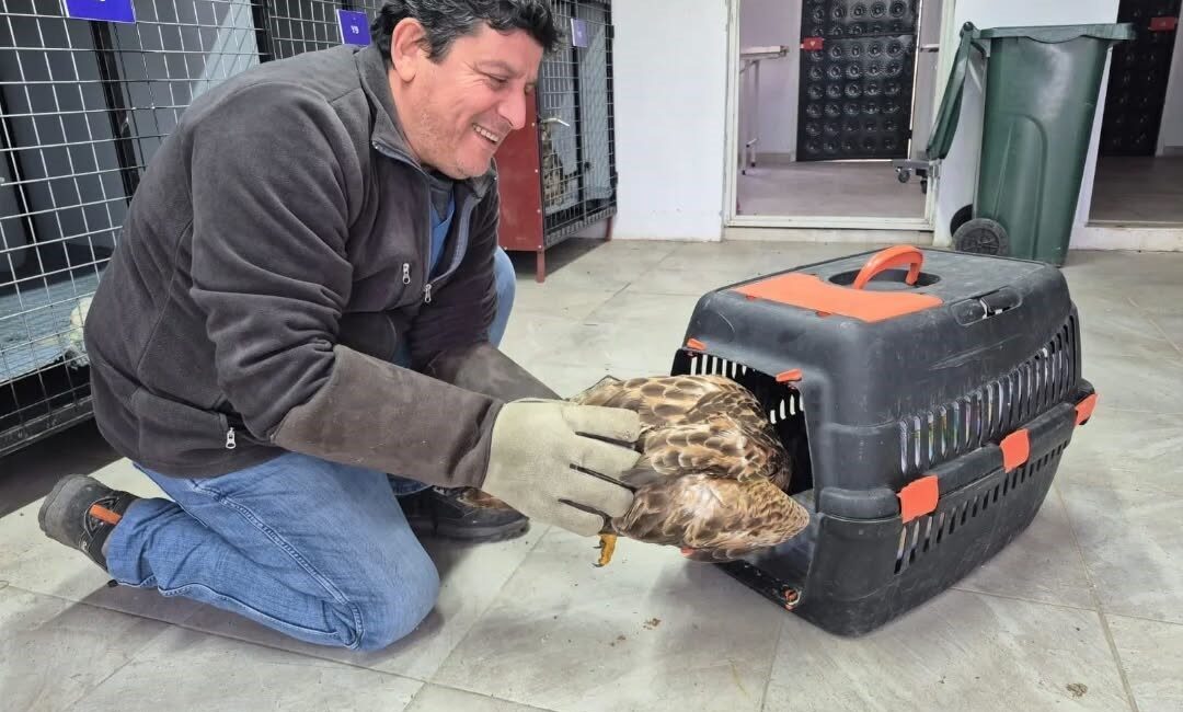 Aydın’ın Germencik ilçesinde Germencik Belediyesi’nin WhatsApp İhbar Hattı aracılığıyla tespit
