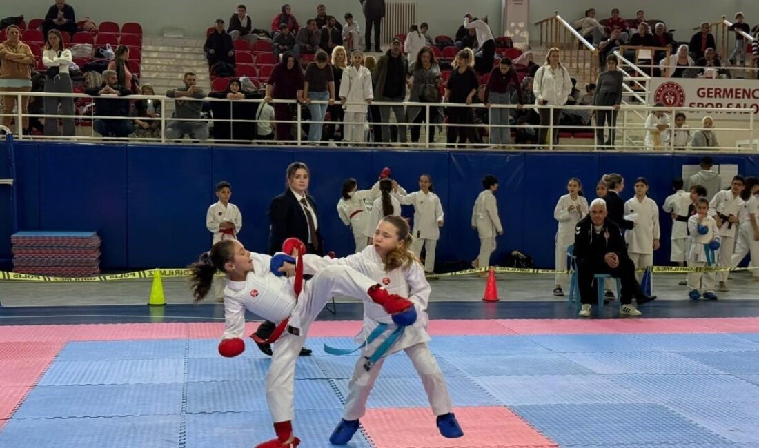 Aydın’ın Germencik ilçesinde düzenlenen karate şampiyonasında tatamiye çıkan minikler şampiyonluk