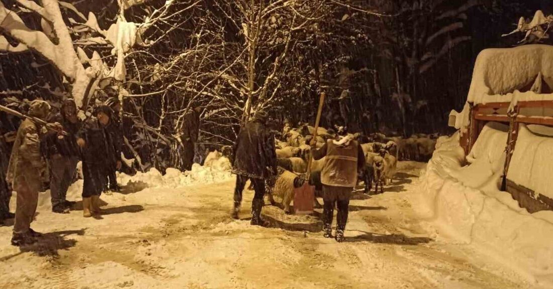 Giresun’un Güce ilçesinde meydana gelen çığ olayında bir çoban hayatını