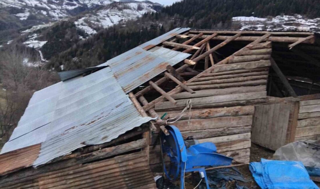 Giresun’da etkili olan kuvvetli fırtına, Yavuzkemal beldesinde seralar ile bazı