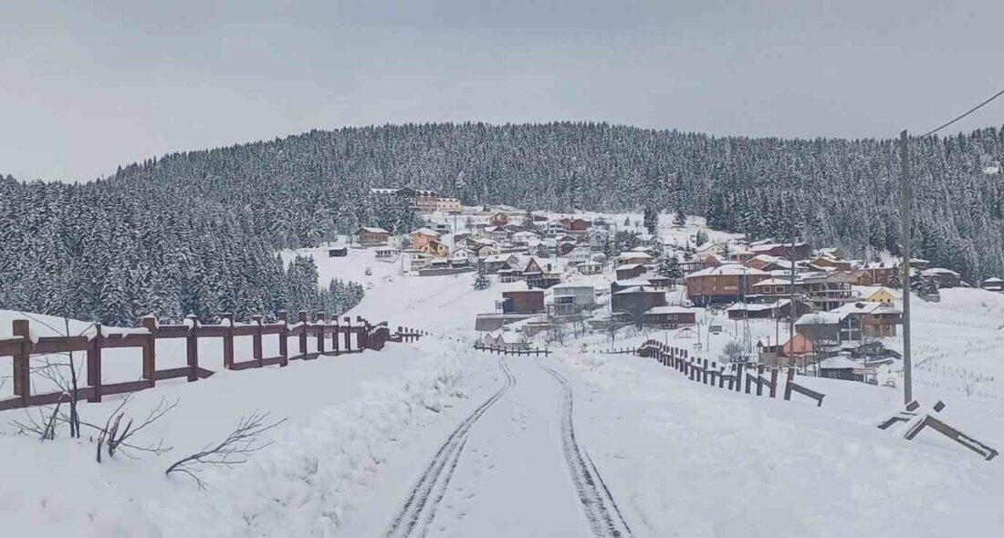 Giresun’un yüksek kesimlerinde etkili olan yoğun kar yağışıyla birlikte yaylalarda
