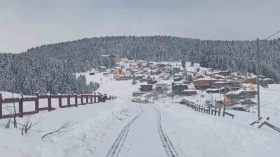 Giresun’un yüksek kesimlerinde etkili olan yoğun kar yağışıyla birlikte yaylalarda