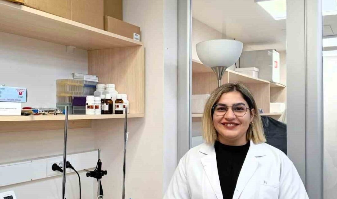 Sakarya Uygulamalı Bilimler Üniversitesi (SUBÜ) tarafından hazırlanan ve diyabet yönetiminde