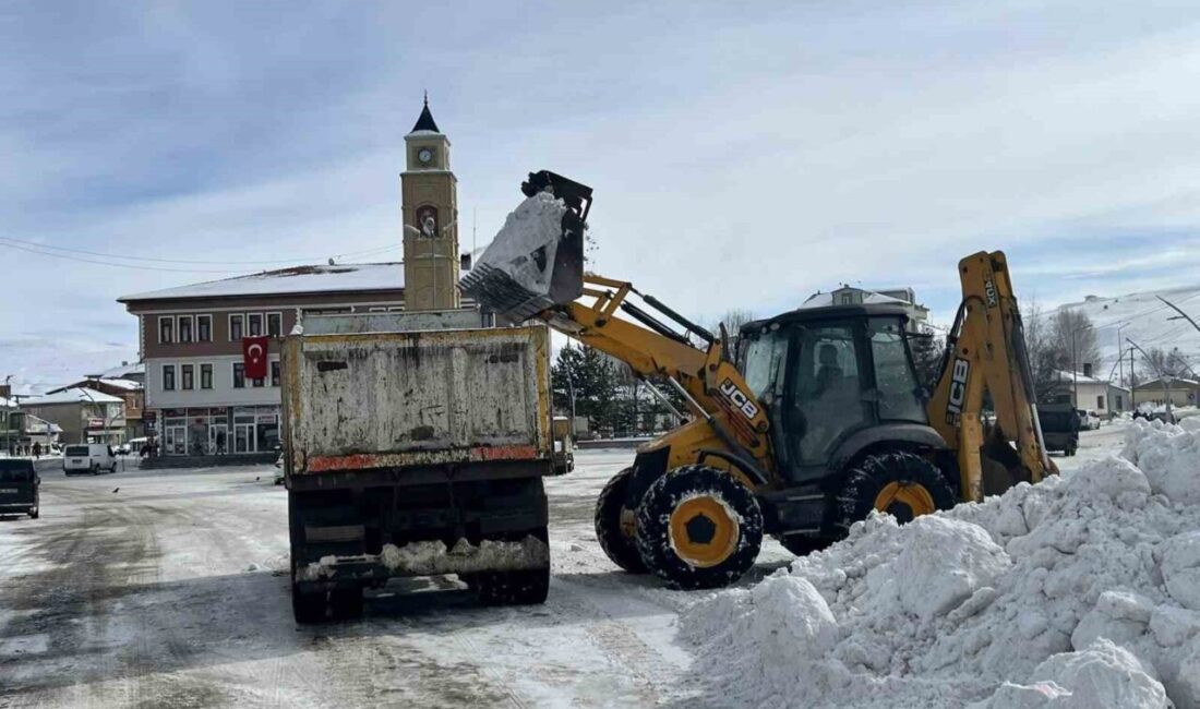 Bayburt’un Gökçedere beldesinde, hava sıcaklığının yükselmesini fırsata çeviren belediye ekipleri