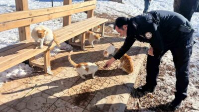 Adıyaman’ın Gölbaşı ilçe Emniyet Müdürlüğü ekipleri, sokak hayvanları için mama