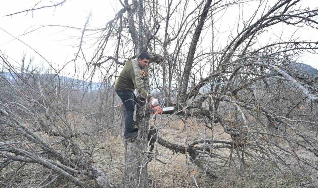 Türkiye’nin ve Isparta’nın simge doğal alanlarından biri olan Gölcük Tabiat
