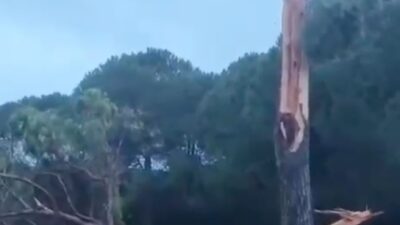 Antalya’nın Serik ilçesine bağlı Belek turizm merkezinde gece saatlerinde aniden