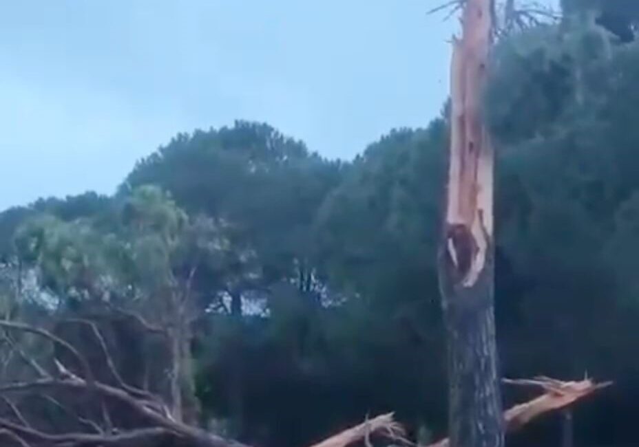 Antalya’nın Serik ilçesine bağlı Belek turizm merkezinde gece saatlerinde aniden