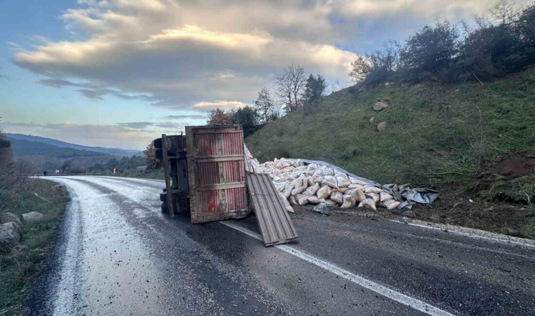 Balıkesir’in Gönen ilçesinde Gönen-Denizkent yolu Ulukır mevkiinde yem yüklü bir