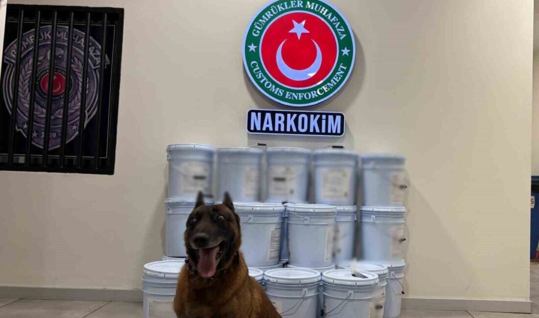 Ticaret Bakanlığı, Gümrükler Muhafaza ekiplerinin gerçekleştirdiği operasyonlar sonucunda 1 milyar