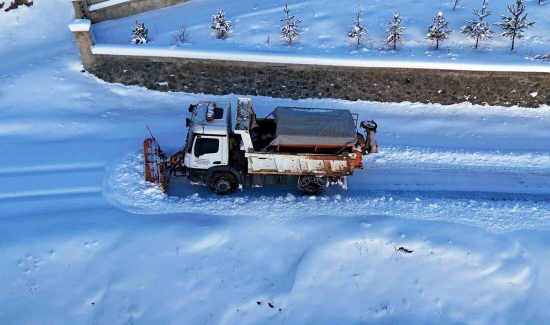 Gümüşhane Valisi Aydın Baruş, hafta içi etkili olan yoğun kar