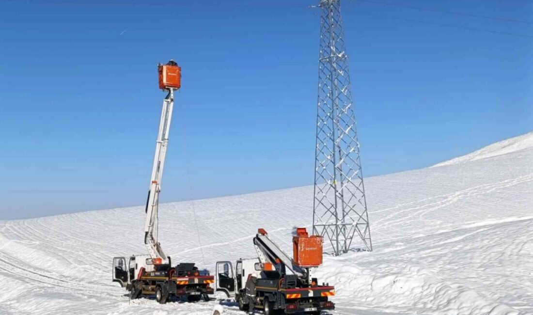 Dicle Elektrik, son 50 yılın en etkili kışında, Diyarbakır, Şırnak,