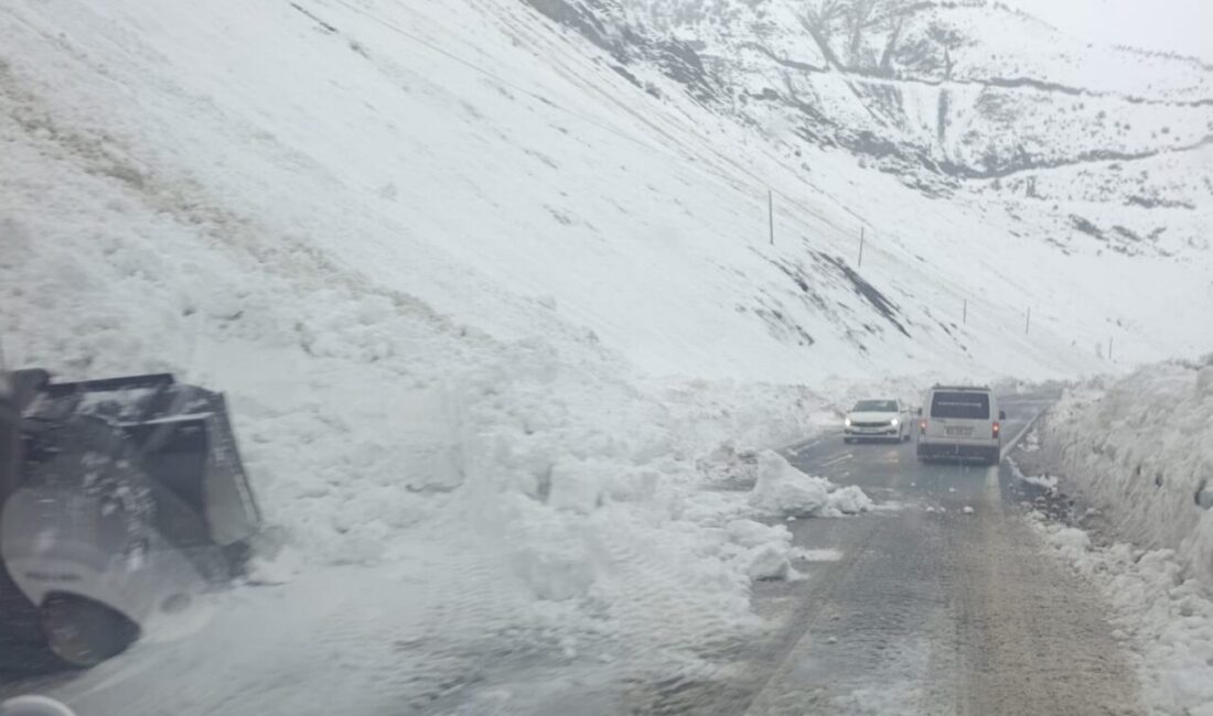 Hakkari-Çukurca kara yoluna iki ayrı noktada düşen çığlar, ekiplerin hızlı