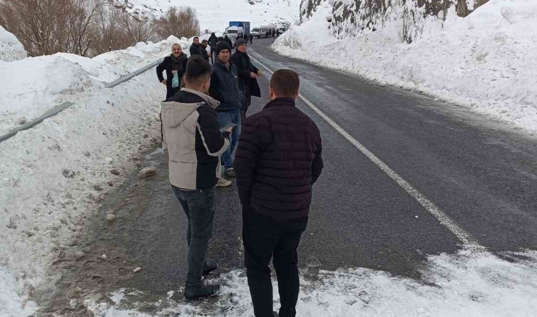 Hakkari-Van kara yolu çığ düşmesi nedeniyle ulaşıma kapanırken, onlarca araç