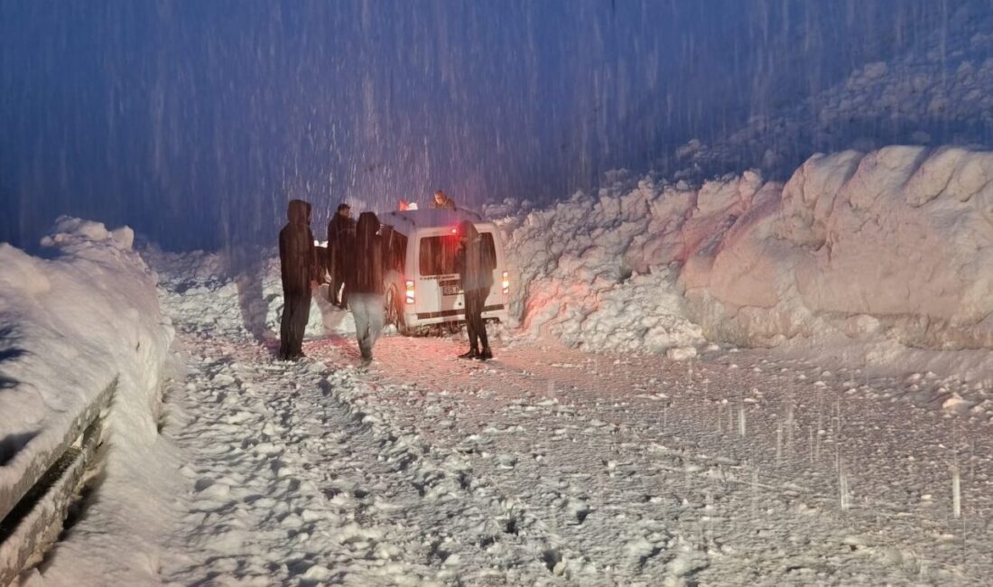Hakkari-Van karayoluna düşen iki çığ arasında kalan 5 araç kurtarıldı.
