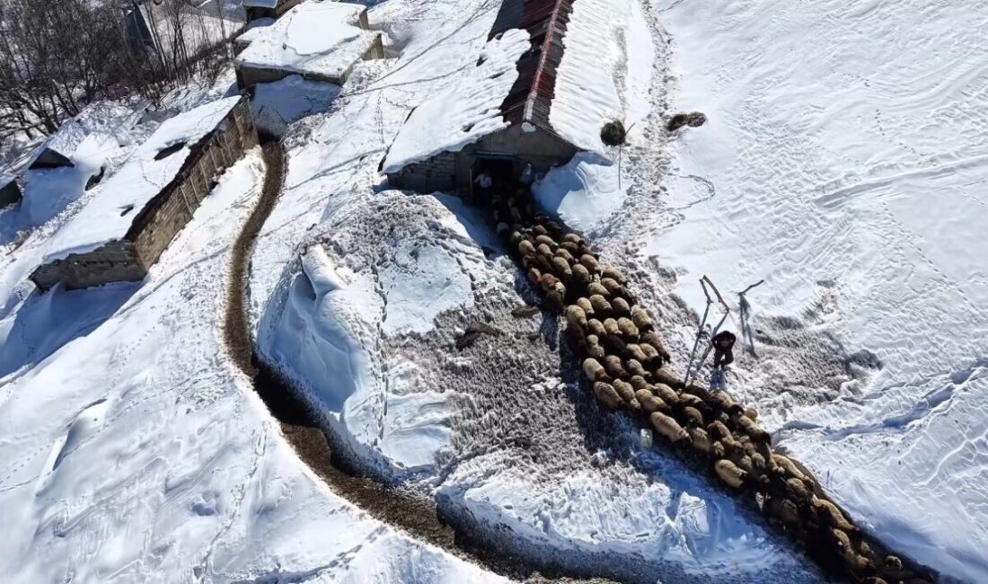 Türkiye’nin en yüksek yerleşim yerlerinden biri olan Hakkari’nin Yüksekova ilçesinde